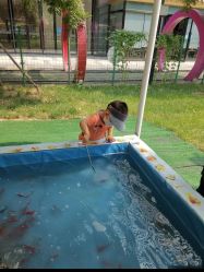 -萌宠亲子动物乐园(槐房万达店)