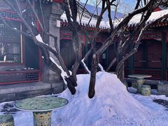 -宫事颐庭·老佛爷贵寿下午茶(颐和园店)