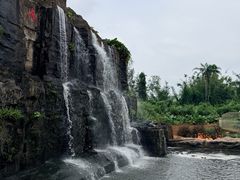 -海南热带野生动植物园