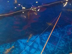 -钳真多钓虾馆·小龙虾海鲜烧烤(九六广场店)