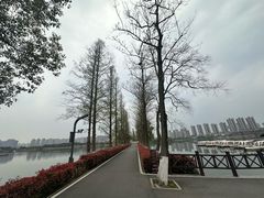 -洋湖国家湿地公园