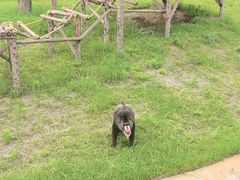 -泉城欧乐堡海洋极地世界