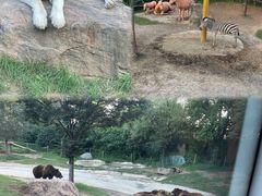 -郑州银基国际旅游度假区