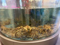 -海底捞大排档火锅(打浦路店)