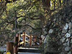 -藏龙百瀑风景区