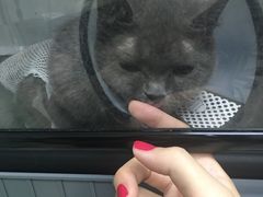 -康乐宝动物医院