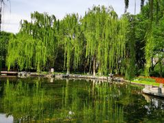 -玲珑塔公园