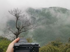 -长沙黑麋峰国家森林公园