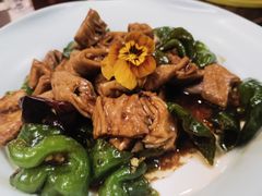 -鸢飞潍坊菜馆(鸢飞大酒店)