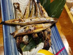 -三月居酒屋(青年大街店)