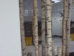 -极简口腔(总院)