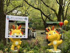 -上海共青森林公园