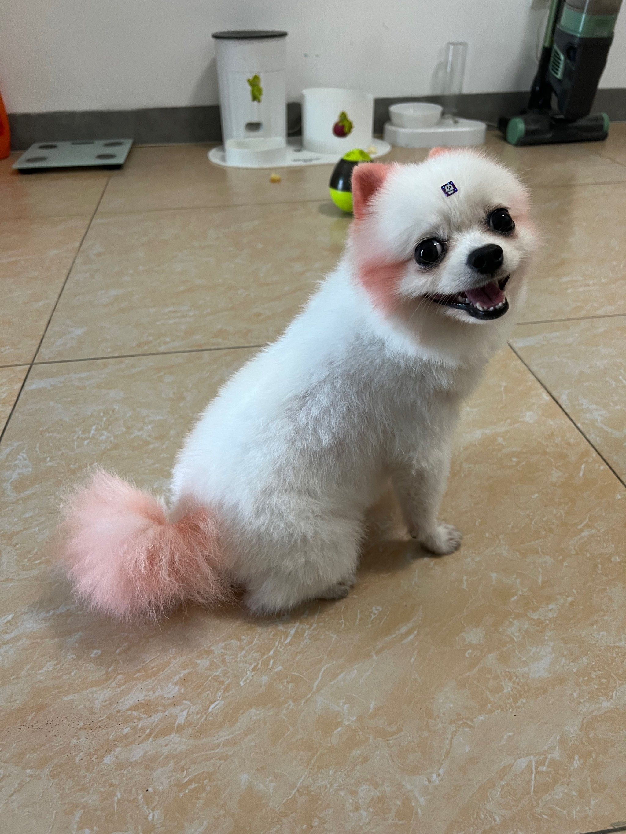 98你是谁呀?毛手毛脚的