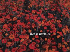-映月湖中央公园