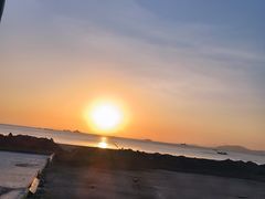 -广东惠东海龟国家级自然保护区