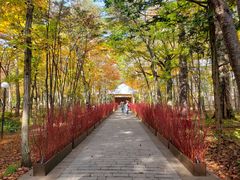 -轻井泽高原教堂