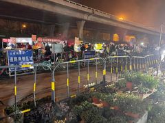 -中环花鸟鱼虫市场