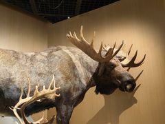 -陕西自然博物馆