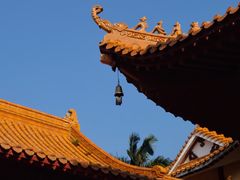 -深圳仙湖植物园