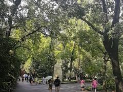 -灵谷景区