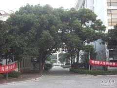 -上海科学技术职业学院
