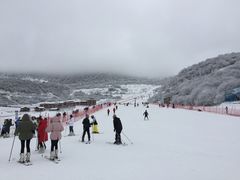 -太子岭滑雪场