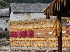 -高荡千年布依古寨旅游景区