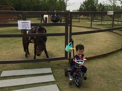 -上海长兴岛郊野公园