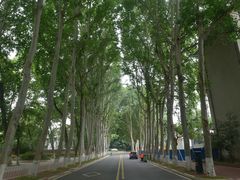 -华中师范大学-图书馆