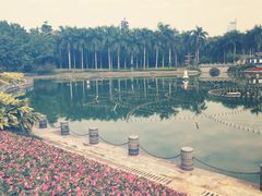 -南宁南湖公园