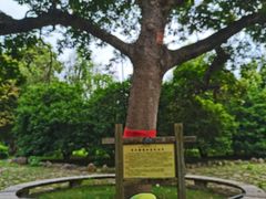 -福建鲤鱼洲酒店