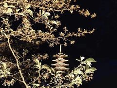 -武昌江滩