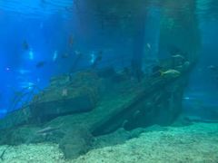 -福州罗源湾海洋世界旅游区