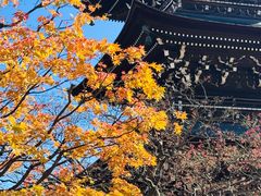 -医王山·飞騨国分寺