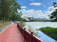 -广州市流溪河国家森林公园
