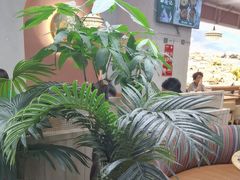 -云海肴·汽锅鸡·云南菜(广安门天虹店)