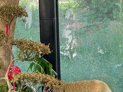 -北马山庄植趣咖啡