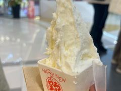 -野人先生Gelato(上海长宁龙之梦店)
