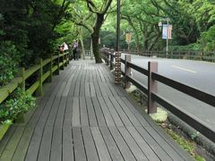 -普陀山风景区-佛顶山