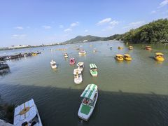 -紫霞湖公园