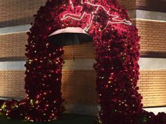 -西安电影制片厂