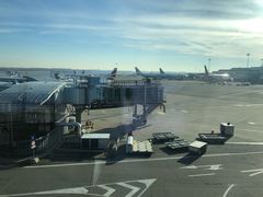 -米兰马尔彭萨国际机场