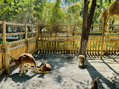 -水上乐园·欢乐世界