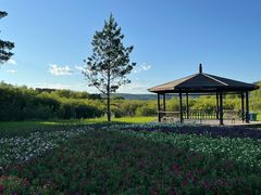 -北极村旅游风景区