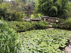 -龙头寺公园