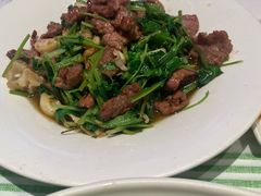 香菜摔打黄牛肉-桂满陇·蟹黄小笼汤包(清河万象店)