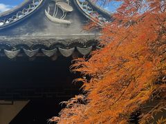 -上海醉白池公园