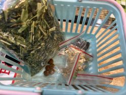 -神奇动物撸宠馆·羊驼·小浣熊·异宠(豫园店)