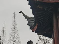 -华西村
