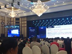 -圣爵菲斯大酒店(长沙世界之窗店)